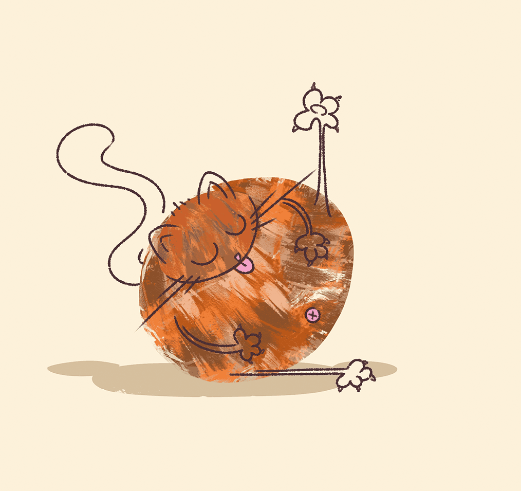 illustrations-animations-4