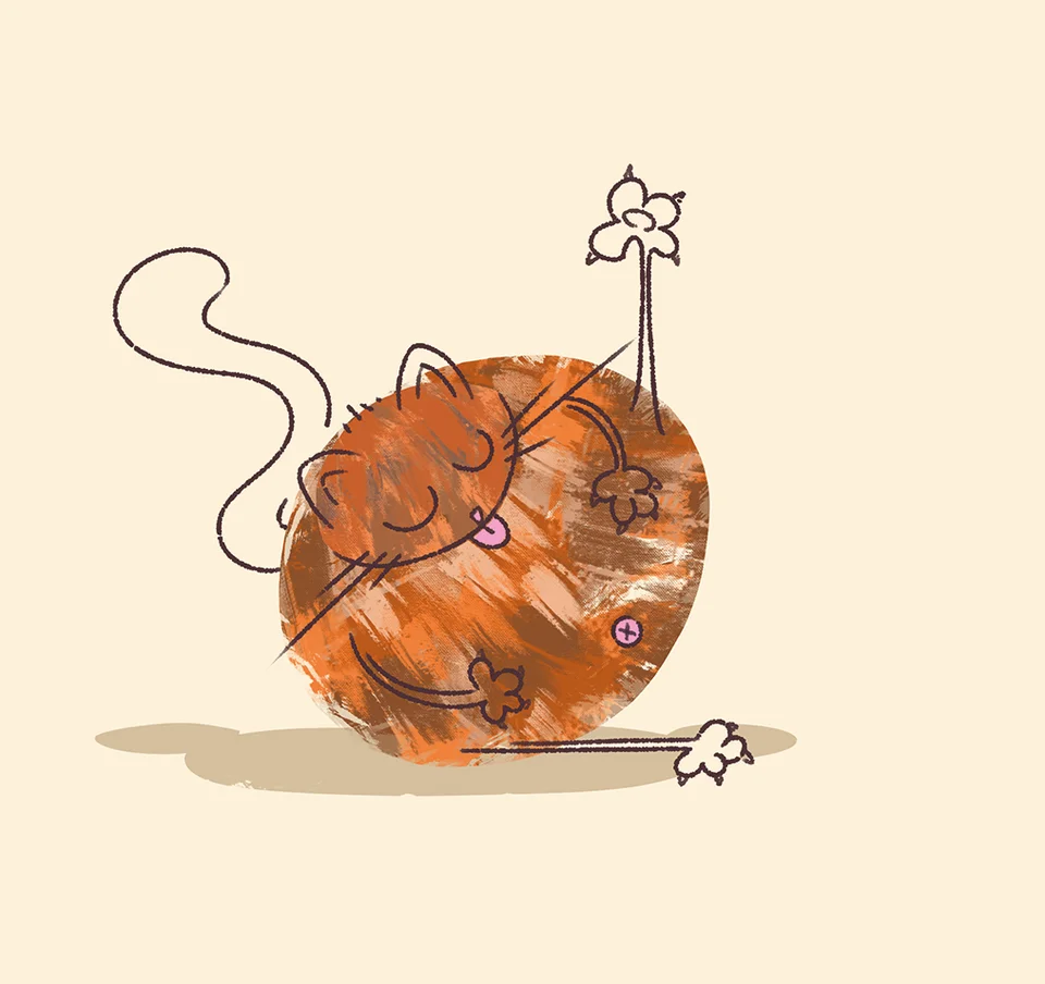 Illustrations / Animations — 4