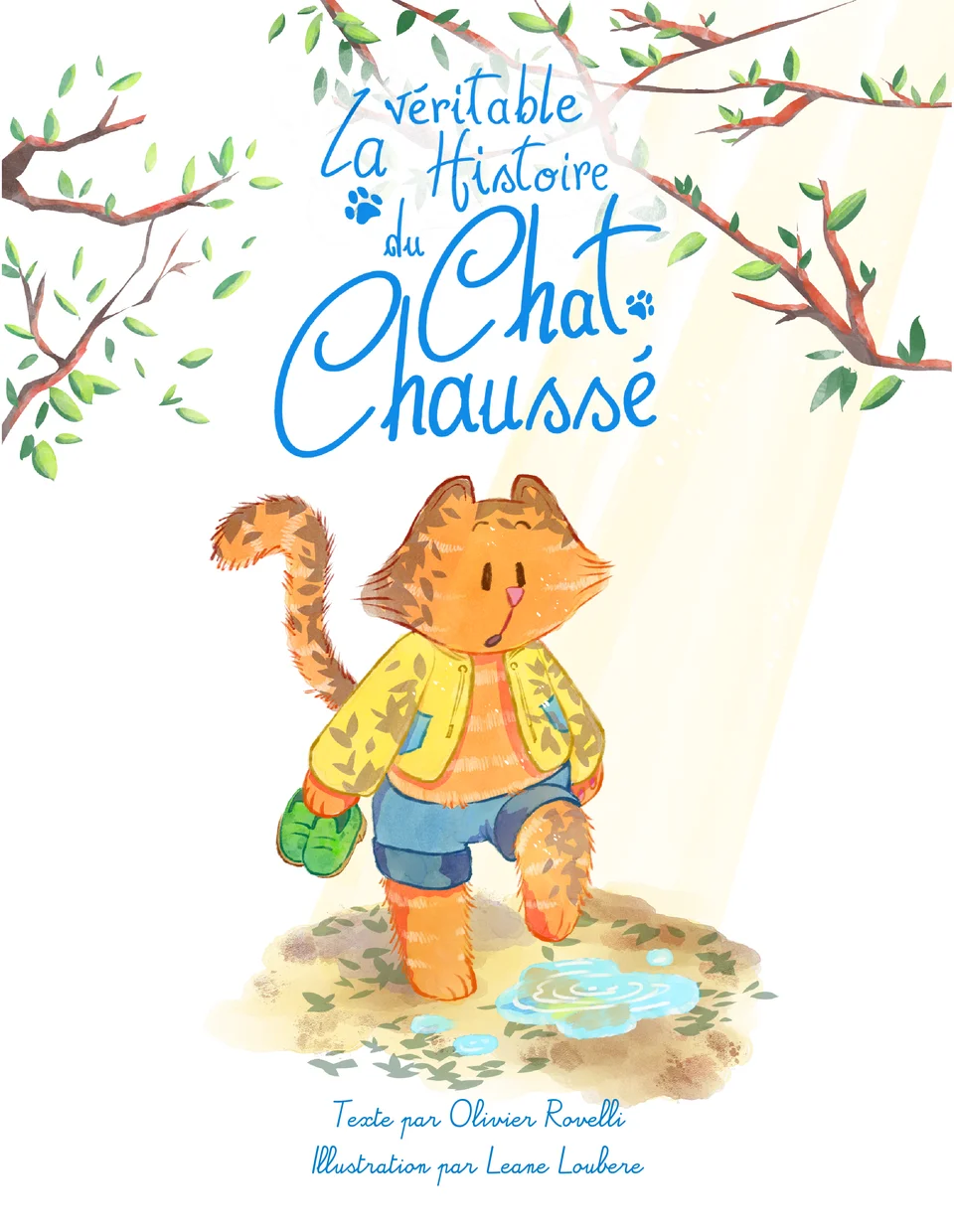 Chat Chaussé